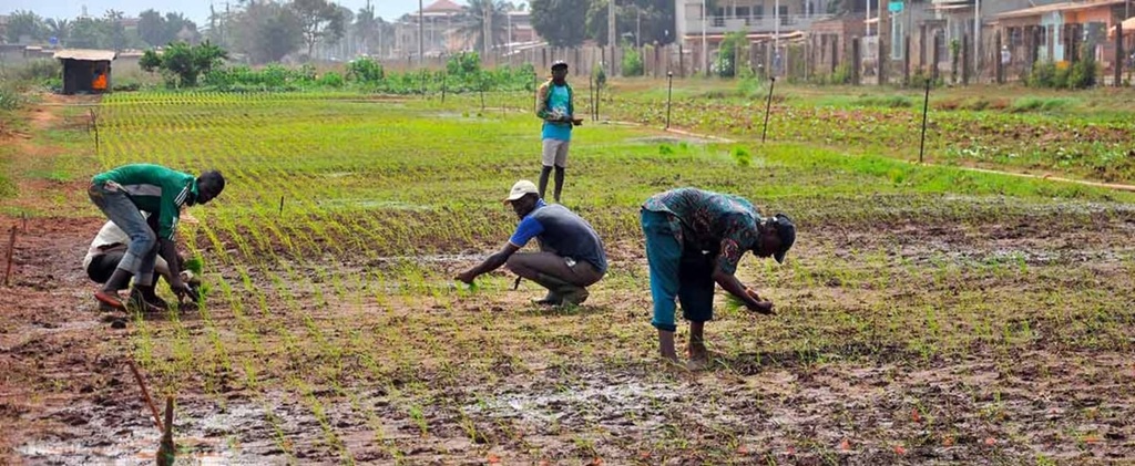 Formation professionnelle : l’État mise sur les métiers agricoles de demain